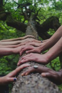 Lien humain, lien avec la nature, faire collectif, répondre aux défis du siècle